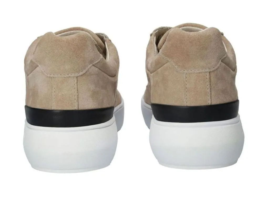 Blackstone Bg167 lemon pepper