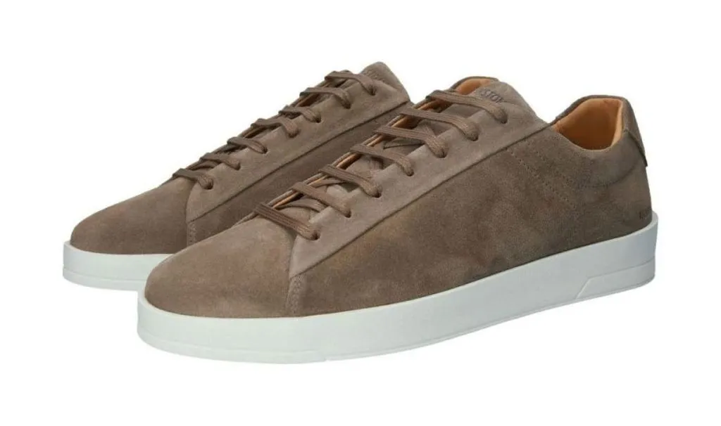 Blackstone Bg354 dodo