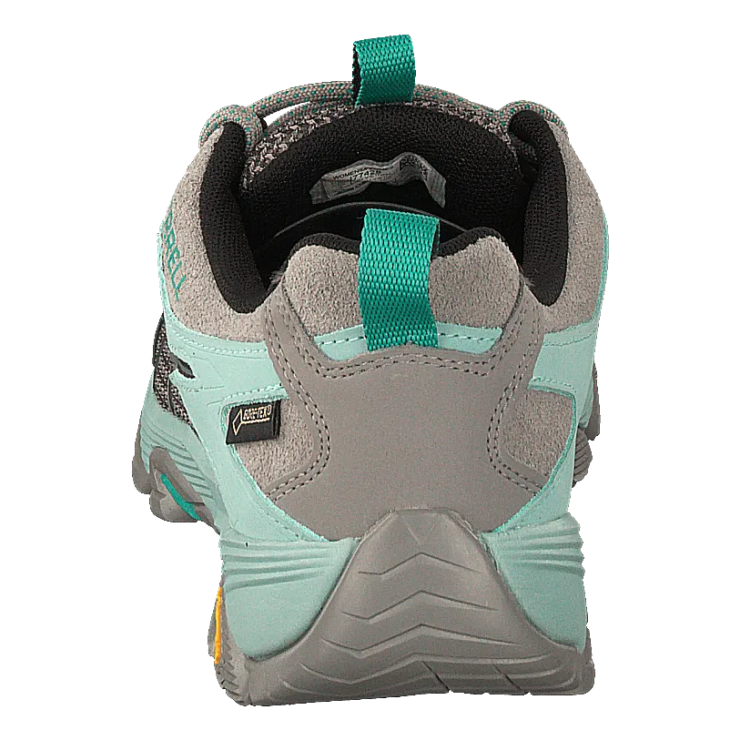 Merrell schoenen Moab Fst 2 Gtx Frost/aquifer